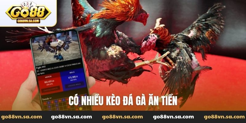 Có nhiều kèo đá gà ăn tiền